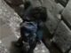 ATACAN PIEDRA DE LOS 12 ANGULOS EN CUSCO