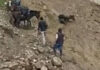 TRANSITAN POR PELIGROSA RUTA A SALKANTAY PESE A RIESGOS