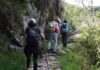 CAMINO INCA ABRE MAÑANA EN FORMA PROGRESIVA