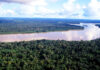 LIBERAN A PRESUNTO ASALTANTE DE NAVE EN AMAZONAS