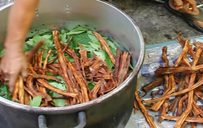 ayahuasca030625