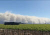 GRAN TORMENTA DE ARENA AFECTÓ REGIÓN ICA