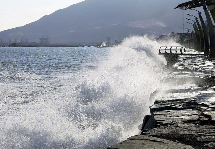 olas300725