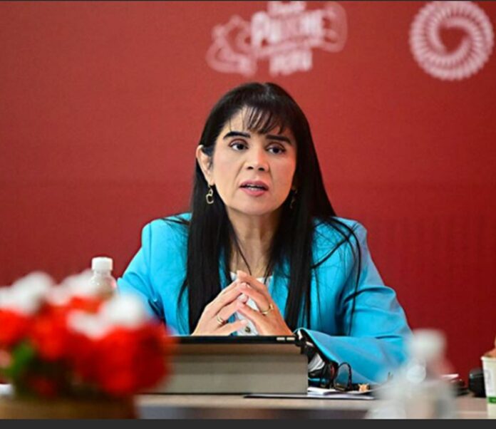 MINISTRA110925
