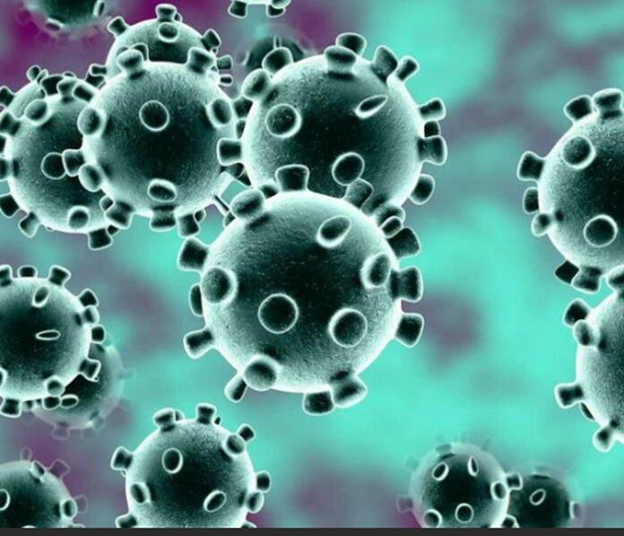 INFLUENZA151225