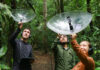 RAINFOREST EXPEDITIONS RECIBE EL REGENERATIVE TRAVEL IMPACT AWARD 2025