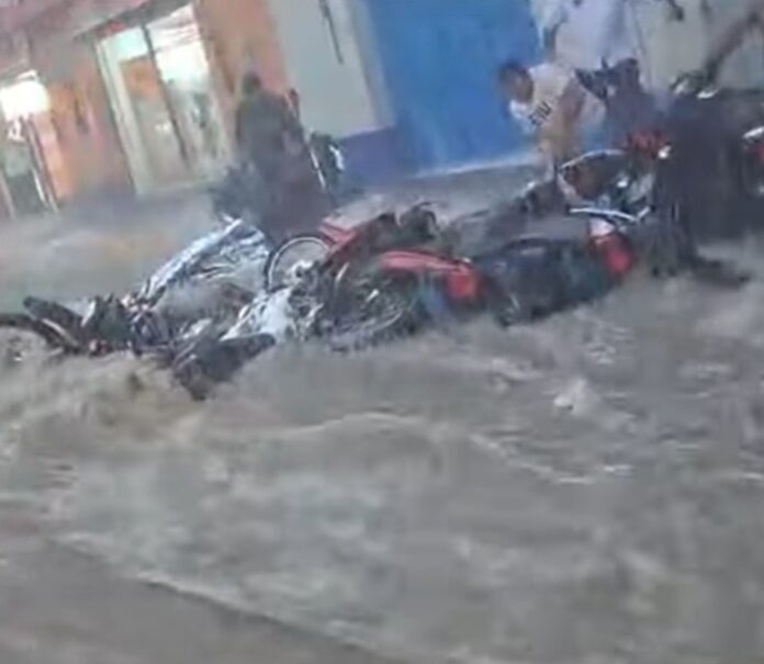 TARAPOTO140126