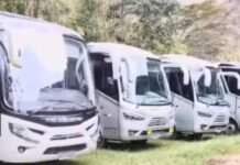 TORONTOY DENUNCIA ACCIONES DE SABOTAJE