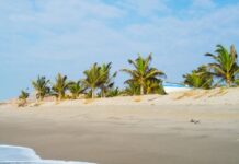 ACCOR FIJA FECHA PARA PROYECTOS EN ZORRITOS Y PUNTA SAL