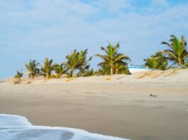 ACCOR FIJA FECHA PARA PROYECTOS EN ZORRITOS Y PUNTA SAL