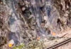 SIGUE SUSPENDIDO TREN A MAPI POR INCENDIO FORESTAL