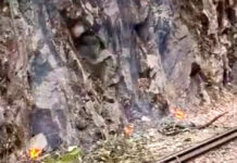SIGUE SUSPENDIDO TREN A MAPI POR INCENDIO FORESTAL