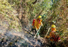 TRATAN DE APAGAR INCENDIO EN SANTUARIO DE MAPI