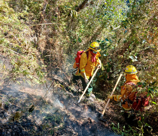 TRATAN DE APAGAR INCENDIO EN SANTUARIO DE MAPI