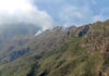 INCENDIO FORESTAL AFECTA ZONA DEL CAMINO INCA