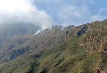 INCENDIO FORESTAL AFECTA ZONA DEL CAMINO INCA