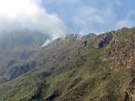 INCENDIO FORESTAL AFECTA ZONA DEL CAMINO INCA